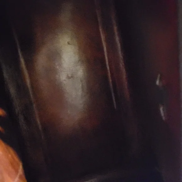 Unique Snake Python Purse - Picture 9 of 12